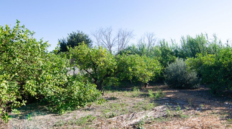 Murcia - Los Lages - 2236m2
