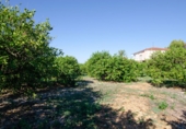 Terreny no urbanitzable en venda a la España, Múrcia, ref.: TR87622 foto
