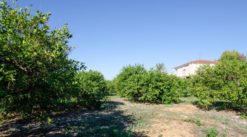 Murcia - Los Lages - 2236m2