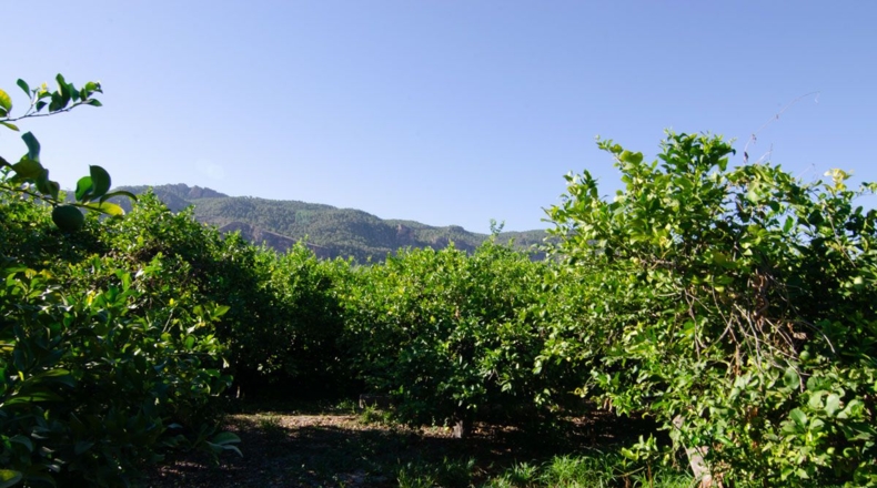 Murcia - Los Lages - 2236m2