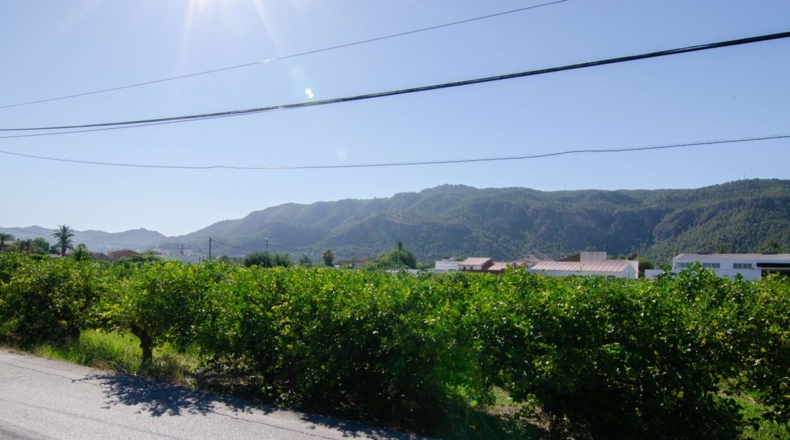 Murcia - Murcia - 1572m2