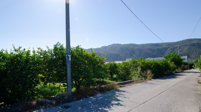Murcia - Murcia - 1572m2
