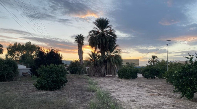 Múrcia - Murcia - 3422m2