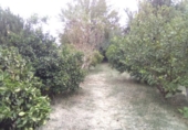 Sòl urbà en venda a la España, Múrcia, ref.: TR94289 foto