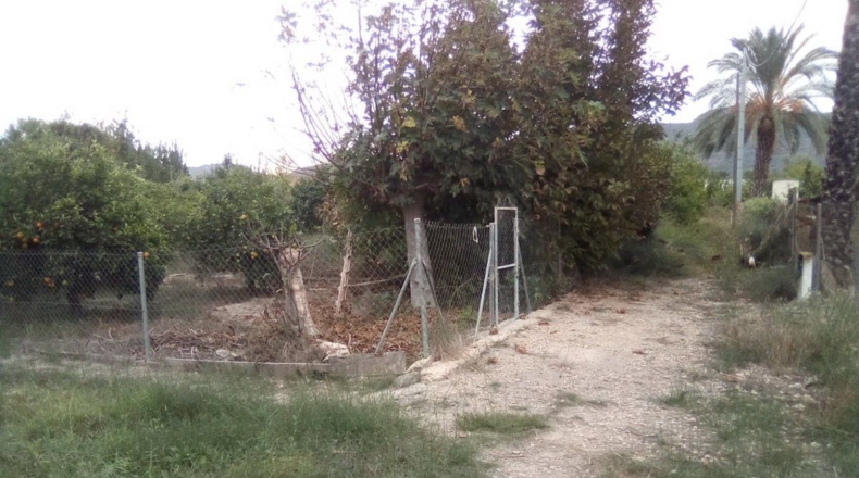Múrcia - Murcia - 375m2