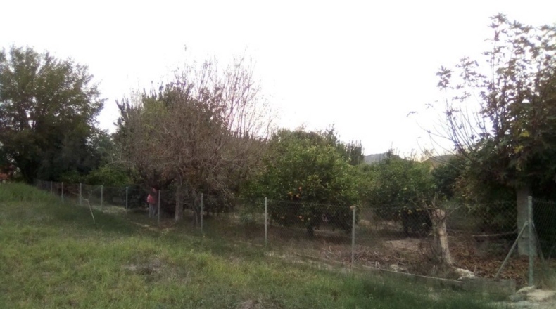 Múrcia - Murcia - 375m2