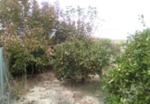 Sòl urbà en venda a la España, Múrcia, ref.: TR94289 foto