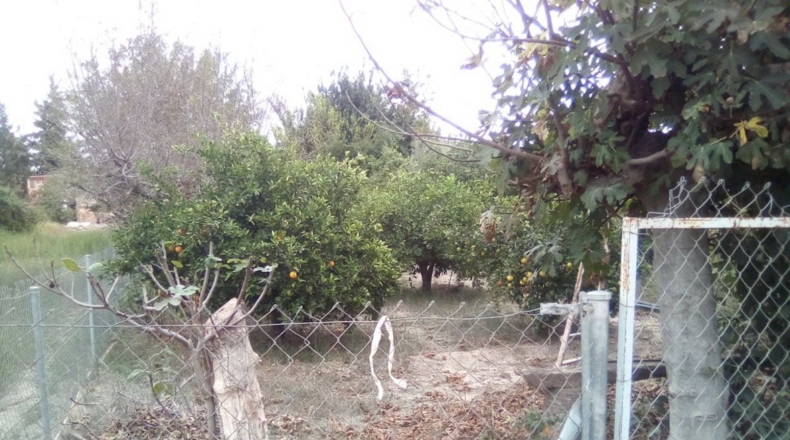 Múrcia - Murcia - 375m2