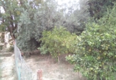 Sòl urbà en venda a la España, Múrcia, ref.: TR94289 foto