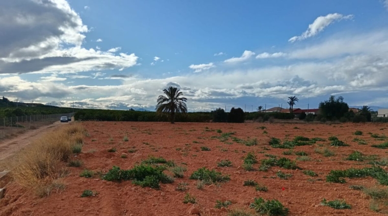 Murcia - Fortuna - 9000m2