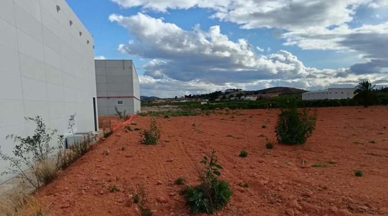 Murcia - Fortuna - 9000m2