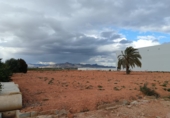 Parcel·la urbanitzable en venda a Fortuna ref.: TR103298 foto