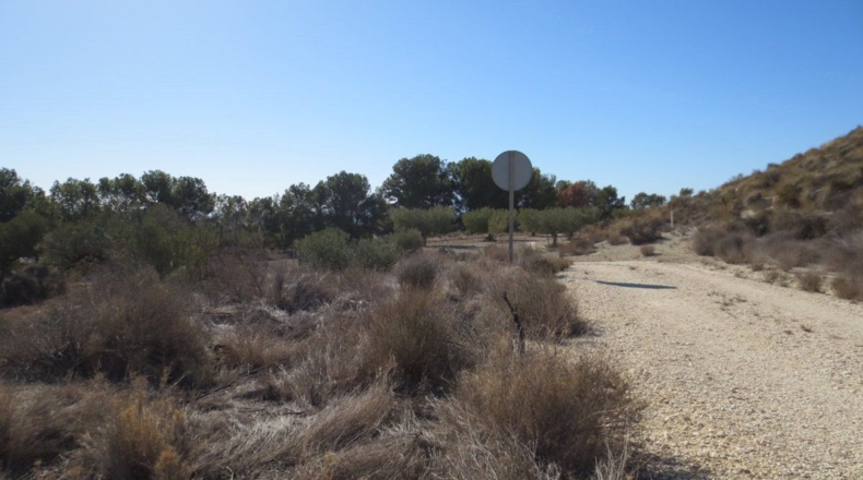 Murcia - Campos del Río - 24330m2