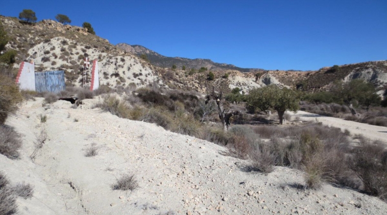 Murcia - Campos del Río - 24330m2