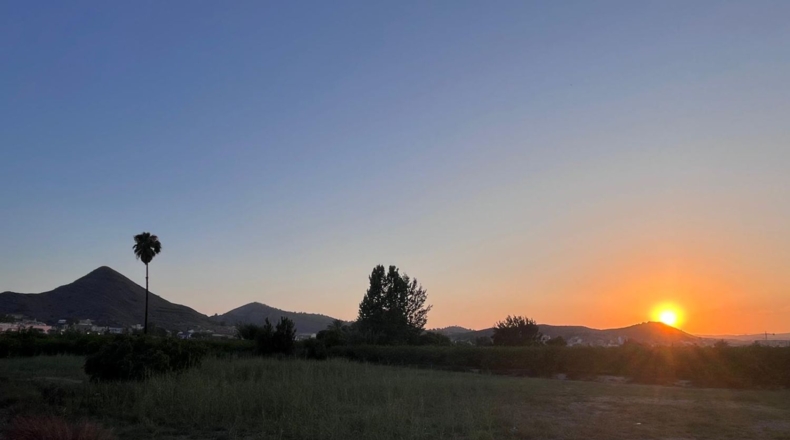 Murcia - Murcia - 2208m2