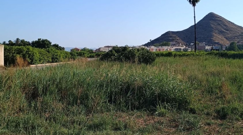 Murcia - Murcia - 2208m2