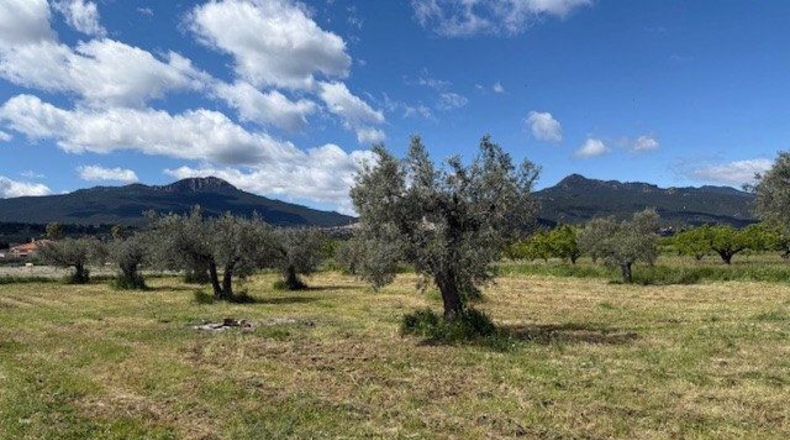 Murcia - Moratalla - 3327m2