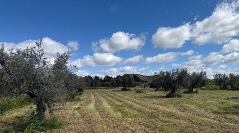 Murcia - Moratalla - 3327m2