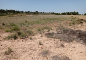 Parcel·la urbanitzable en venda a la España, Múrcia, ref.: TR81850 foto