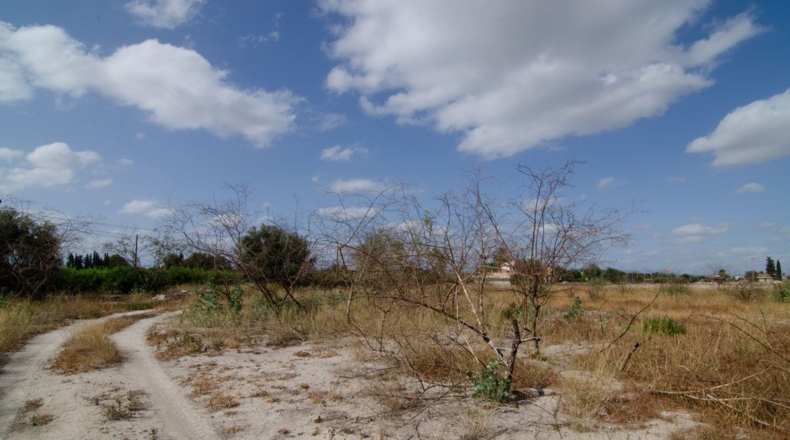 Murcia - Múrcia - 3354m2