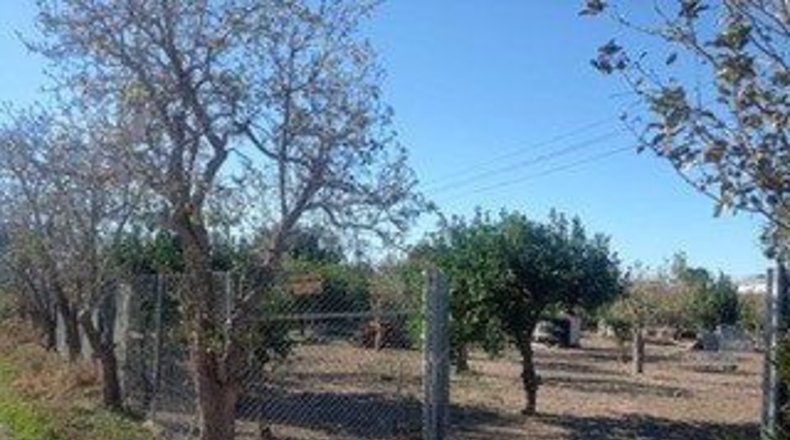 Murcia - Murcia - 839m2