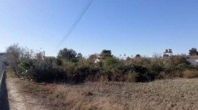 Murcia - Murcia - 839m2