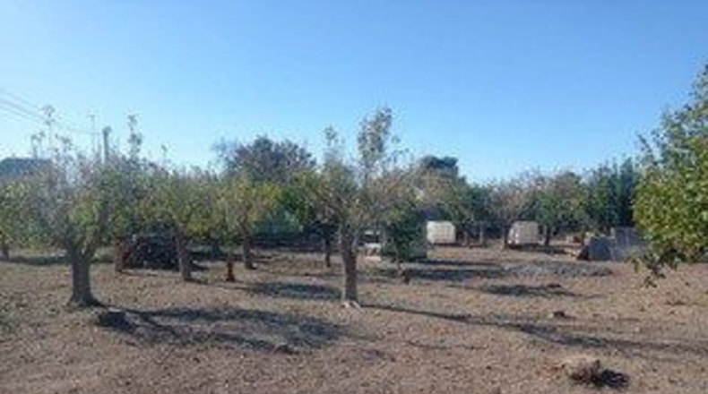 Murcia - Murcia - 839m2