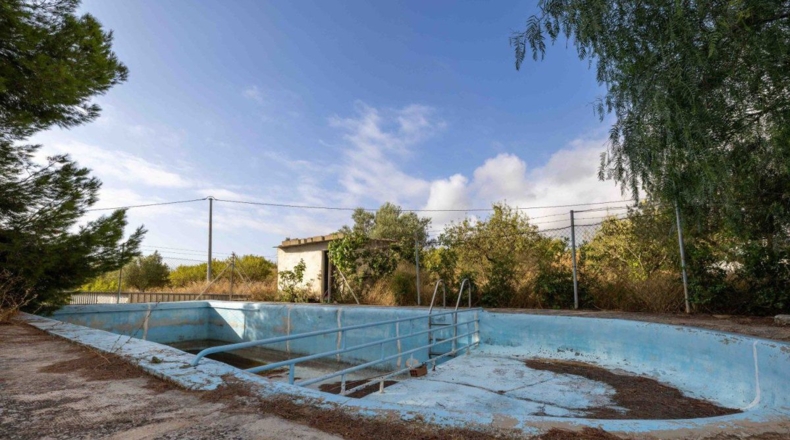 Murcia - Bullas - 50000m2