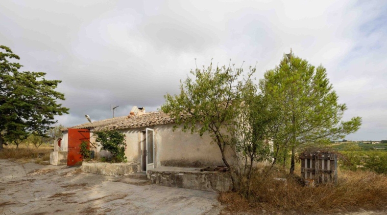 Murcia - Bullas - 50000m2