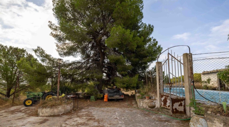 Murcia - Bullas - 50000m2