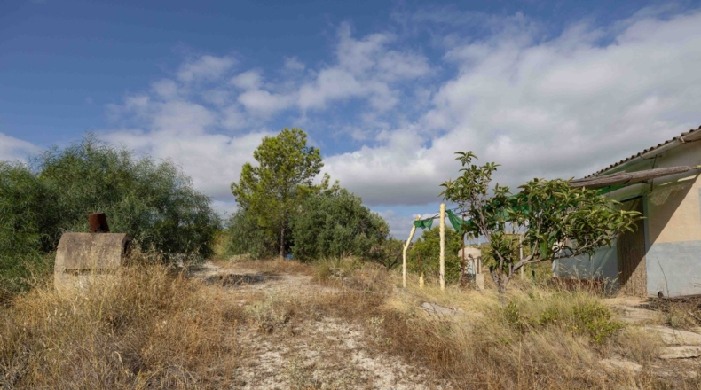 Murcia - Mula - 180000m2