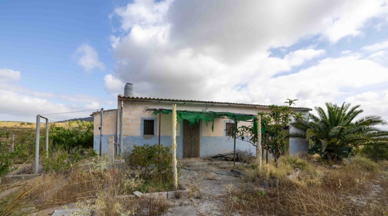 Murcia - Mula - 180000m2
