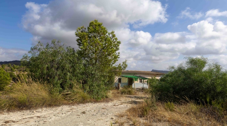 Murcia - Mula - 180000m2