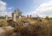 Finca rústica en venda a la España, Mula, ref.: TR326036 foto