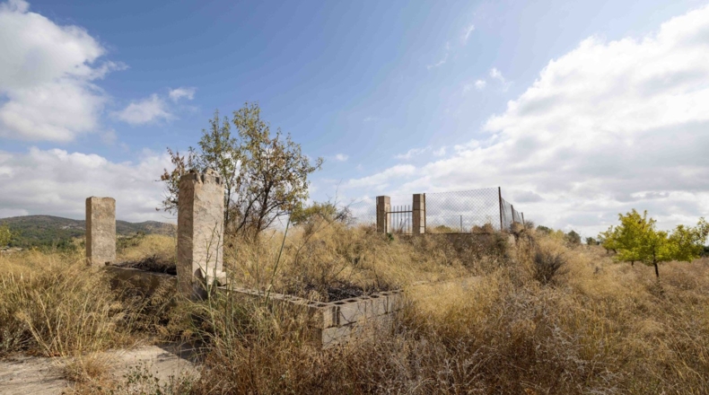 Murcia - Mula - 180000m2