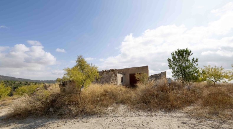 Murcia - Mula - 180000m2