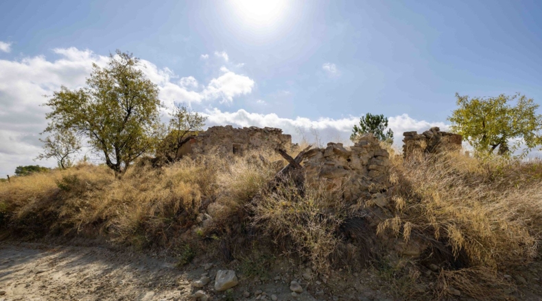 Murcia - Mula - 180000m2