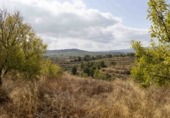 Finca rústica en venda a la España, Mula, ref.: TR326036 foto