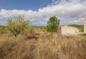 Finca rústica en venda a la España, Mula, ref.: TR326036 foto