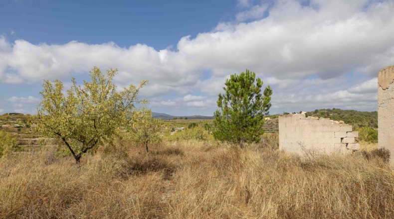 Murcia - Mula - 180000m2