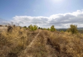 Finca rústica en venda a la España, Mula, ref.: TR326036 foto