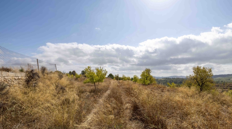 Murcia - Mula - 180000m2