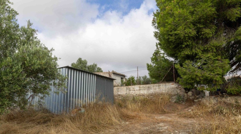 Murcia - Bullas - 50000m2