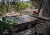 Non-developable land for sale on España, Bullas, ref: TR321701 photo
