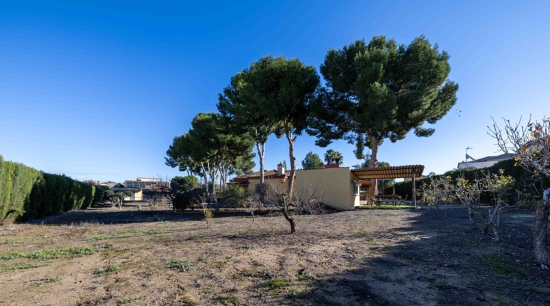 Murcia - Molina de Segura - 4700m2