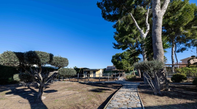 Murcia - Molina de Segura - 4700m2
