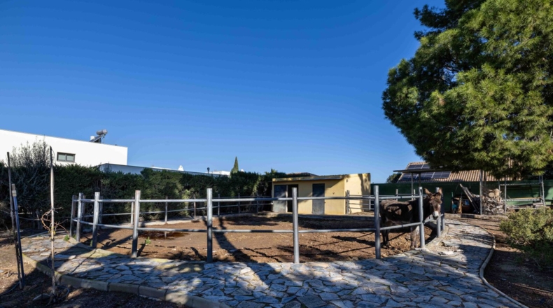 Murcia - Molina de Segura - 4700m2