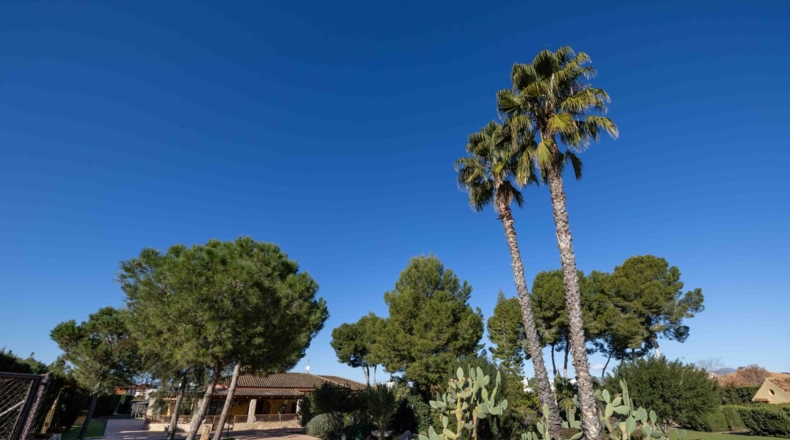 Murcia - Molina de Segura - 4700m2