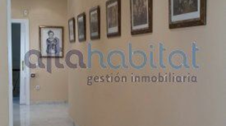 Sevilla - Alcalá de Guadaíra - 1700m2
