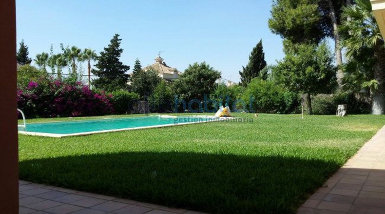 Sevilla - Alcalá de Guadaíra - 1700m2